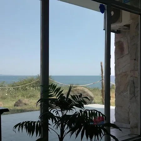 арапя Hotell